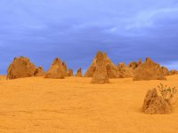 The Pinnacles, Western Australia