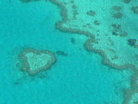 Whitsundays - Coral Reef Photo