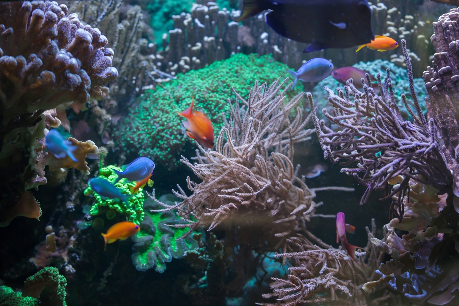 5 Adventurous Ways To Explore The Great Barrier Reef | Destinations