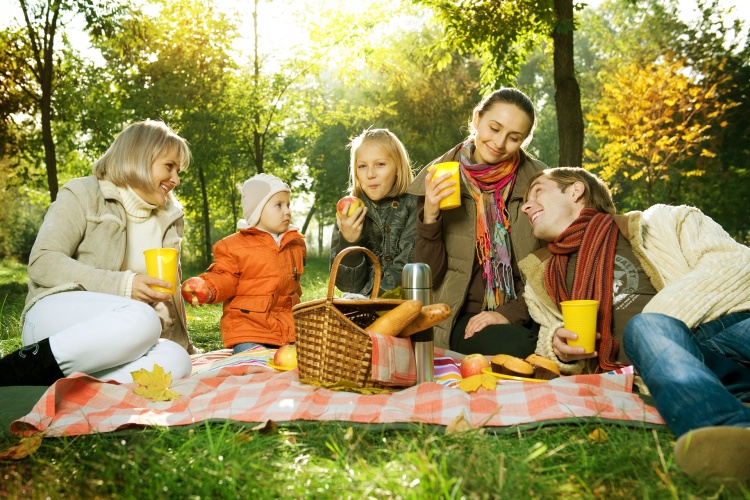 Canberra Picnic